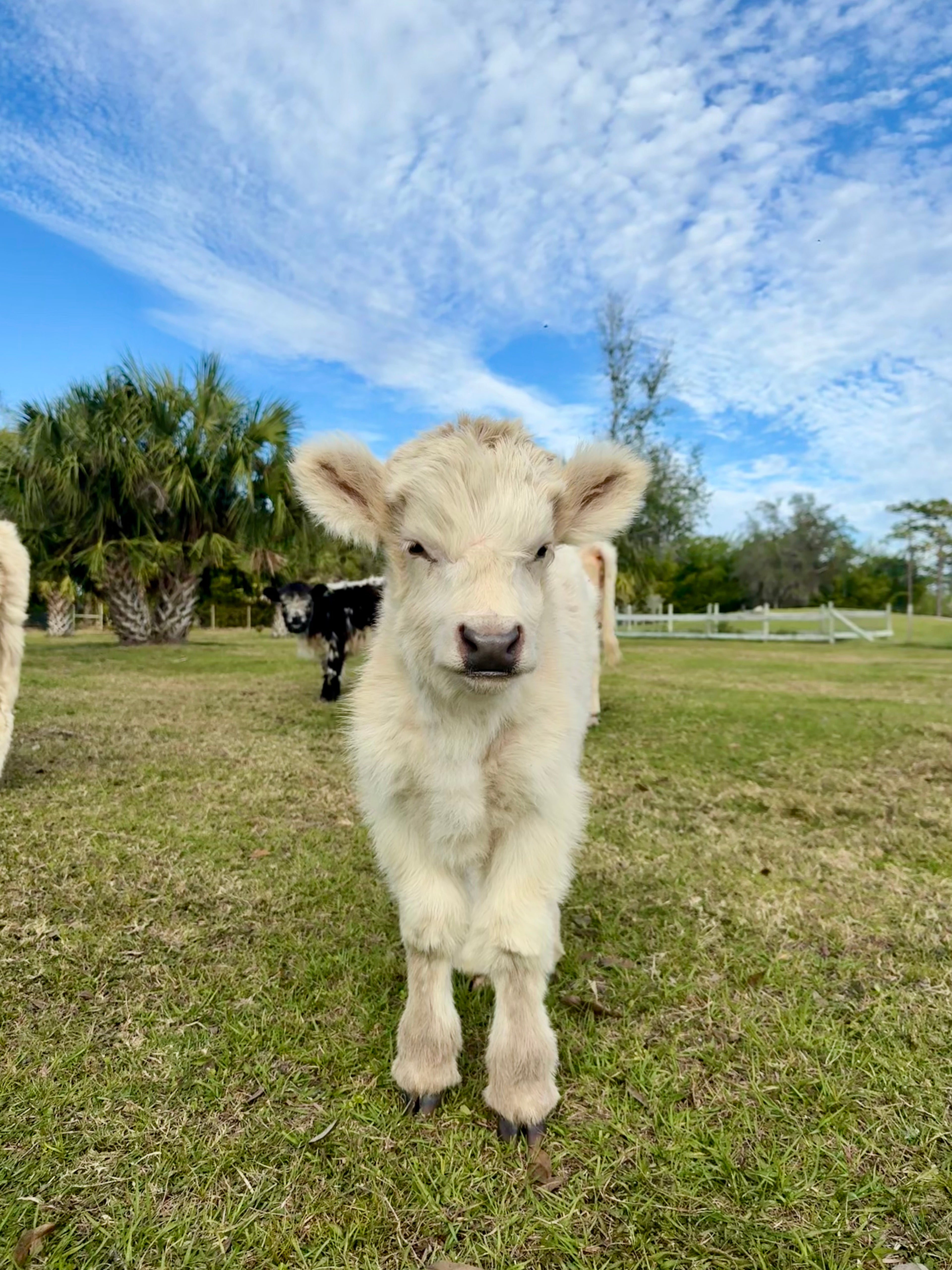 Farm Tour